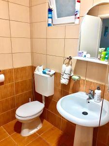 La salle de bains est pourvue de toilettes et d'un lavabo. dans l'établissement Dream apartment Herceg Novi, à Herceg-Novi