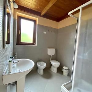 een badkamer met een wastafel, een toilet en een douche bij Il Melograno in Francavilla Marittima