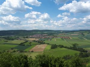 an aerial view of the green fields and trees at Moderne Altstadt-Ferienwohnung in Hammelburg