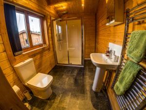 uma casa de banho com um WC, um chuveiro e um lavatório. em New Forest Lodges em Cranborne