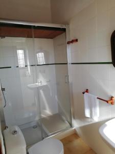 een badkamer met een douche, een toilet en een wastafel bij Cortijo Las Monjas in Periana