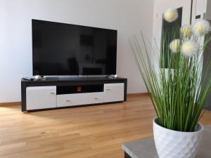 sala de estar con TV y jarrón con flores en Apartman DIJANA, en Banja Luka