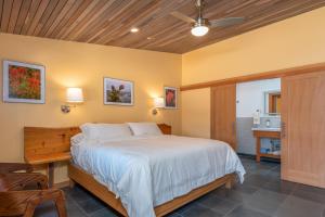 a bedroom with a bed and a ceiling fan at Wildflower Boutique Motel in Point Arena