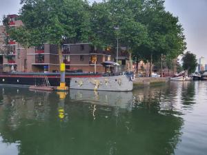 鹿特丹Houseboat holiday apartments Rotterdam的船停靠在水体中