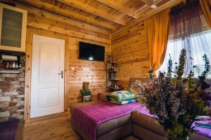 a living room with a couch in a room with wooden walls at The Meadow cabin in Žabljak