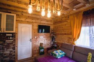 una sala de estar con sofá y TV en una cabaña de madera en Meadow Cabin, en Žabljak
