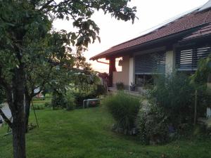 a yard next to a house with a tree w obiekcie Eko kmetija Gerbec w mieście Grahovo