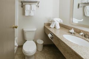 a white toilet sitting next to a sink in a bathroom at Mammoth Mountain Inn in Mammoth Lakes