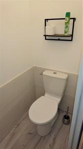 a bathroom with a white toilet in a room at Appartement T2 "Le Cocoön" rez-de-jardin au calme in Vitré