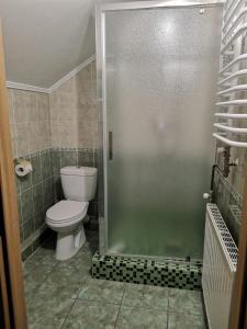 a bathroom with a toilet and a glass shower door at Hotel Yavir in Yaremche