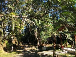 a garden with a bunch of trees and grass at Flat Boa Vista in Paraty