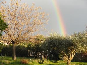 un arcobaleno nel cielo con alberi e cespugli di La Casa Nert a Millas