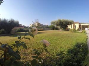 a yard with some flowers in the grass at La Casa Nert in Millas