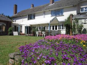 a house with purple flowers in the yard at Newmans Hall Bed & Breakfast in Little Waldingfield