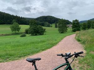a bike parked on a gravel road in a field at Casa Blanca am Herzzentrum Lahr in Lahr +4 photos