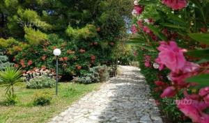 a garden path with pink flowers and a street light at Residence Polidoro in Vieste