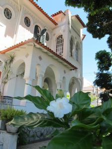 une fleur blanche devant un bâtiment dans l'établissement Guesthouse Bianca, à Rio de Janeiro