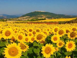 Photo de la galerie de l'établissement Il Pentagono, à Termoli 145 autres photos
