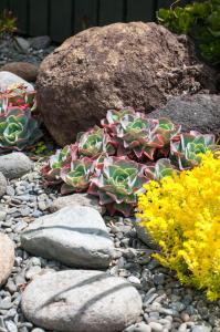 Φωτογραφία από το άλμπουμ του Anchorage Motel σε Paihia