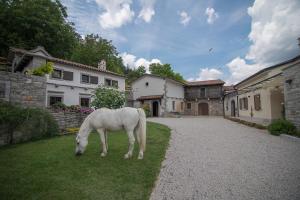 Imagen de la galería de Tmbin's barn - nature, horses, family, en Sežana