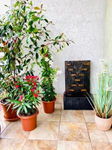 Sunny Deluxe Apt. & Terrace 1075 Budapest, Kazinczy utca 52. 3. em. 34 a. building B kép - 2