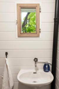 a bathroom with a sink and a mirror at Villa Donkey Ferienwohnung 113 in Degersheim