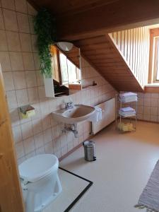 バート・ゴイーザーンにあるFerienwohnung am Bauernhof Koaのバスルーム(洗面台、トイレ付)
