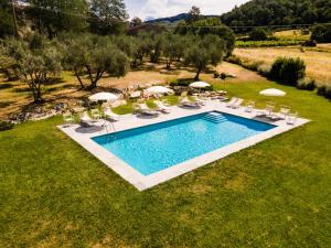 widok na basen z leżakami i parasolami w obiekcie Agriturismo Marchesi Gondi w mieście Pontassieve