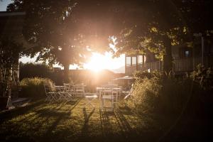 a group of tables and chairs under a tree at Hotel Petrus in Brunico