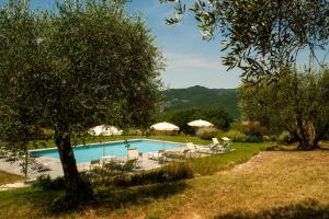 a pool with chairs and umbrellas in a garden at Agriturismo Marchesi Gondi in Pontassieve