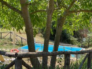 Basen w obiekcie Agriturismo Marchesi Gondi lub w pobliżu