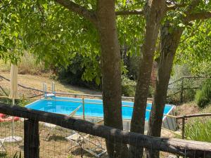 a swimming pool in a yard with trees at Agriturismo Marchesi Gondi in Pontassieve