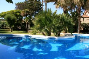 a blue swimming pool with palm trees in the background at Hotel Villa Mediterranea in Noto Marina
