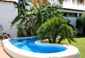 a swimming pool with palm trees in a yard at Hotel Villa Mediterranea in Noto Marina
