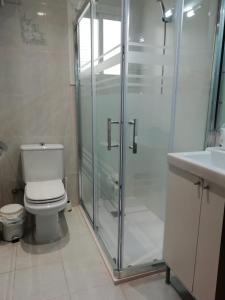 バレンシアにあるApartamento Torresのバスルーム(シャワー、トイレ、シンク付)