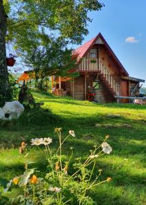 Garður fyrir utan Log cabin Uvac (Vikendica Saponjic)