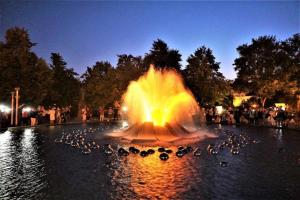 a fountain with a bunch of birds in the water at Villa Shafaly in Mariánské Lázně