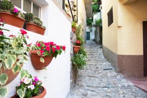 un callejón con macetas de flores al lado de un edificio en Borgo Antico, en Luino