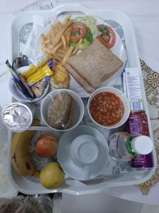 a tray of food with a sandwich and french fries at Valley Guest House in Pretoria