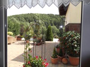 Zahrada ubytování Pension Waldhof