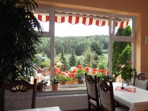 Zahrada ubytování Pension Waldhof