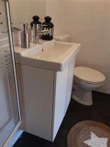 La salle de bains est pourvue d'un lavabo blanc et de toilettes. dans l'établissement Hochwald-Balkon, à Bad Sachsa