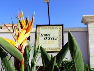 a yellow flower and a sign in front of a building at Hotel O'scià in Lampedusa