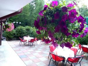 Φωτογραφία από το άλμπουμ του Hotel Hart σε Predeal +66 φωτογραφίες