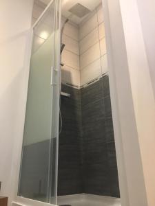 une douche avec une porte vitrée dans une salle de bain dans l'établissement Lovely Studio, à Bourges 23 autres photos