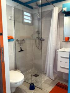 a bathroom with a shower and a toilet at Les Cauris de l'Anse in Sainte-Anne