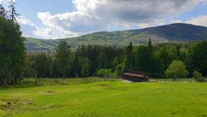 Příroda nedaleko apartmánu