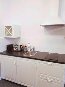 Kuchnia lub aneks kuchenny w obiekcie Apartamenty Stary Browar Oleśnica