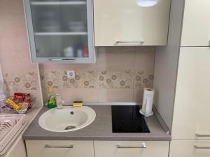 Koupelna v ubytování Apartment Ela