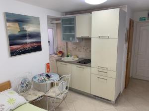 Kuchyň nebo kuchyňský kout v ubytování Apartment Ela
